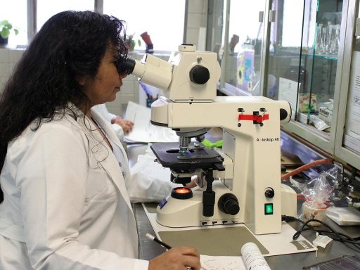 Wetenschapper die data analyseert in een laboratorium
